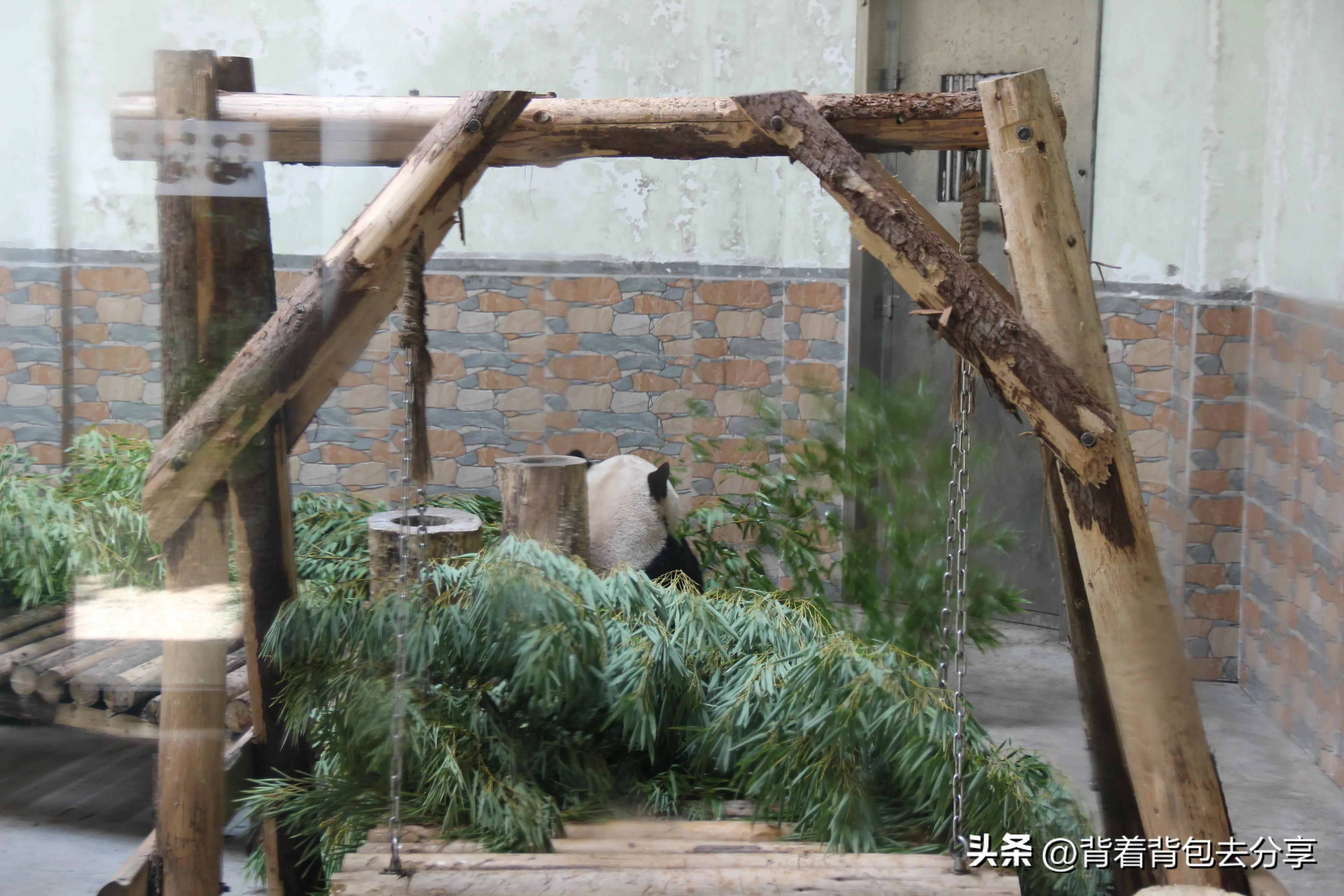 青岛旅游三天自由行攻略最新篇章,青岛最实用的旅游攻略