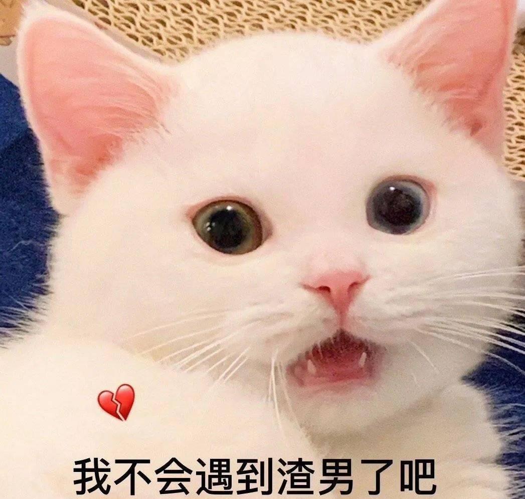 下班回来笑话大全,下班到丈母娘家的幽默笑话