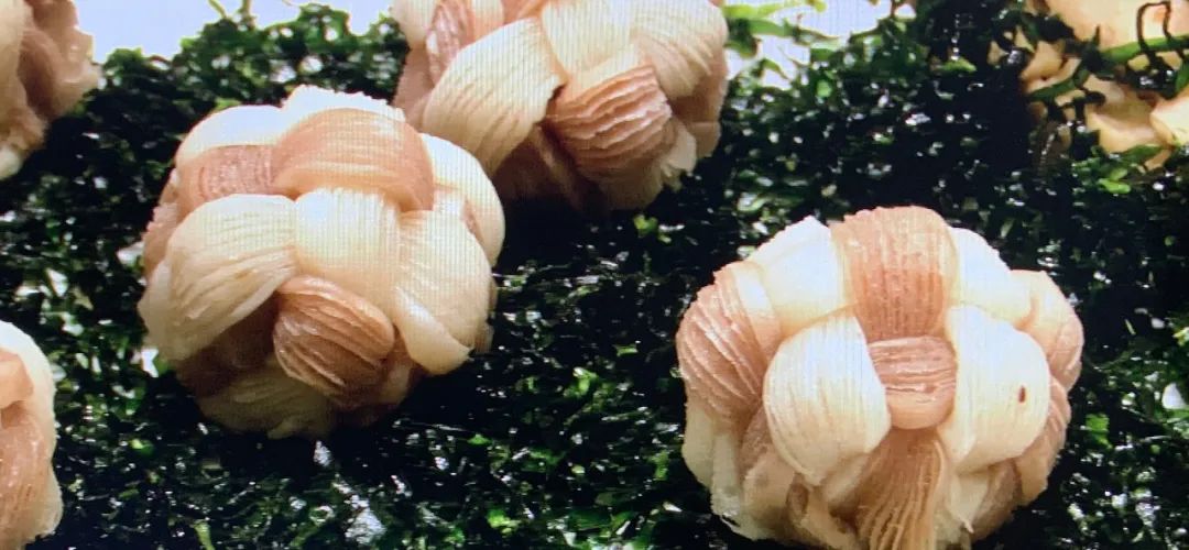 淄博好吃的糕点,淄博最好吃的糕