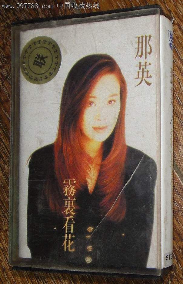 孟桐与那英结婚时多少岁,那英和孟桐婚姻状态