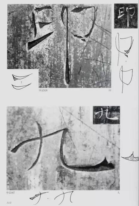 宸ョ瑪鐢绘潹鏅箟鐢诲唽,鏉滈箖鏉ㄦ櫘涔夊畬鏁寸増