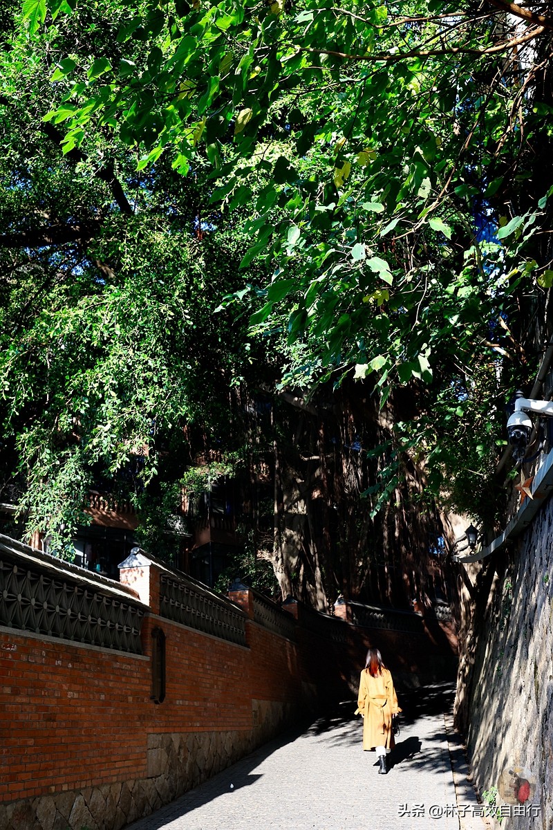 福州有哪些特色玩的,福州市区游玩攻略