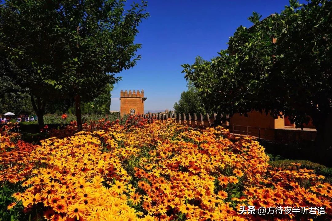 阿尔罕布拉宫精美之处,阿尔罕布拉宫的回忆绝美