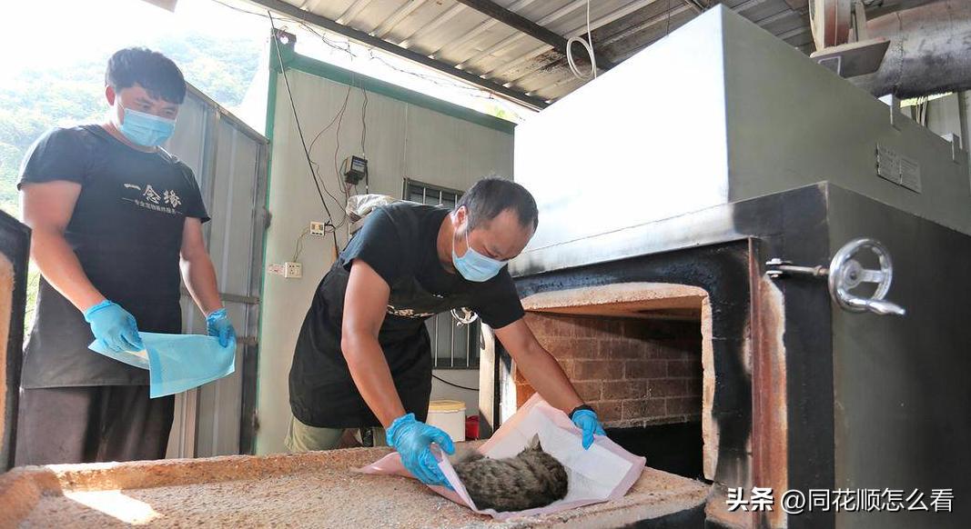 五个快速翻身的冷门行业,两个冷门赚钱的小生意知识