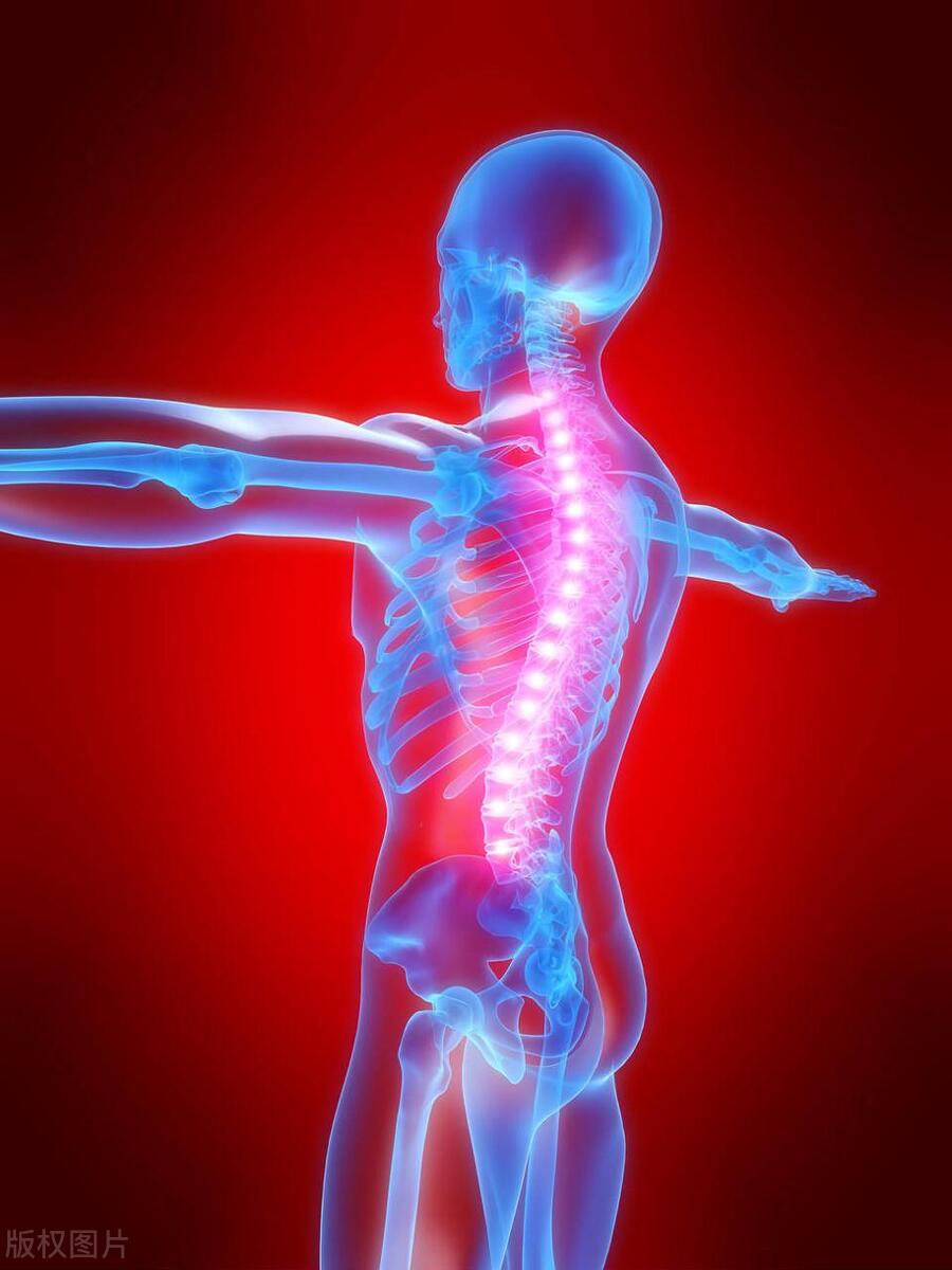 蛋白质吃多了会致癌吗,蛋白质摄入太多会伤肾这是真的吗