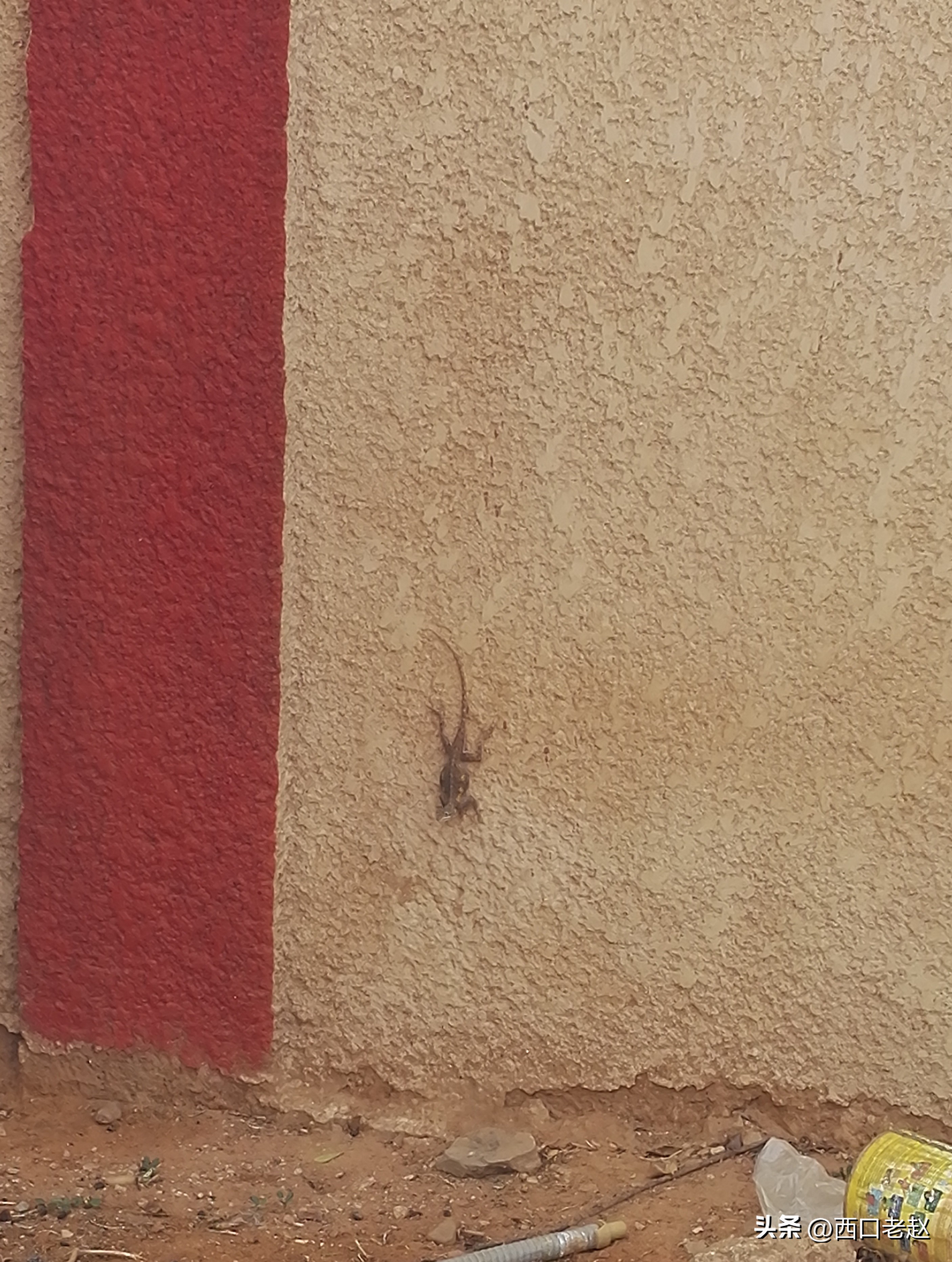 行走在国外的岁月15——西非掠影之尼日尔A