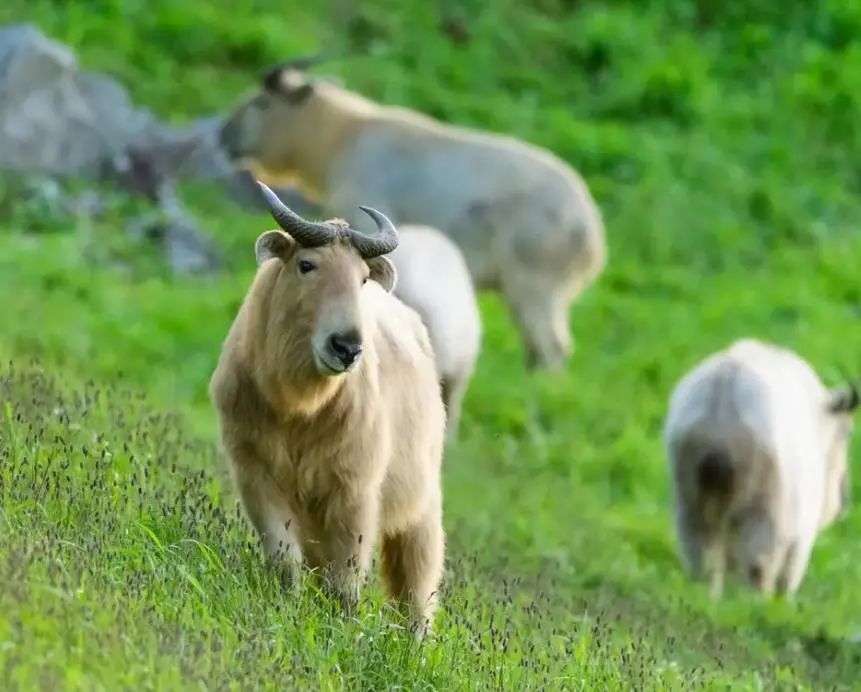 多灾多难，我们的未来还会好吗？