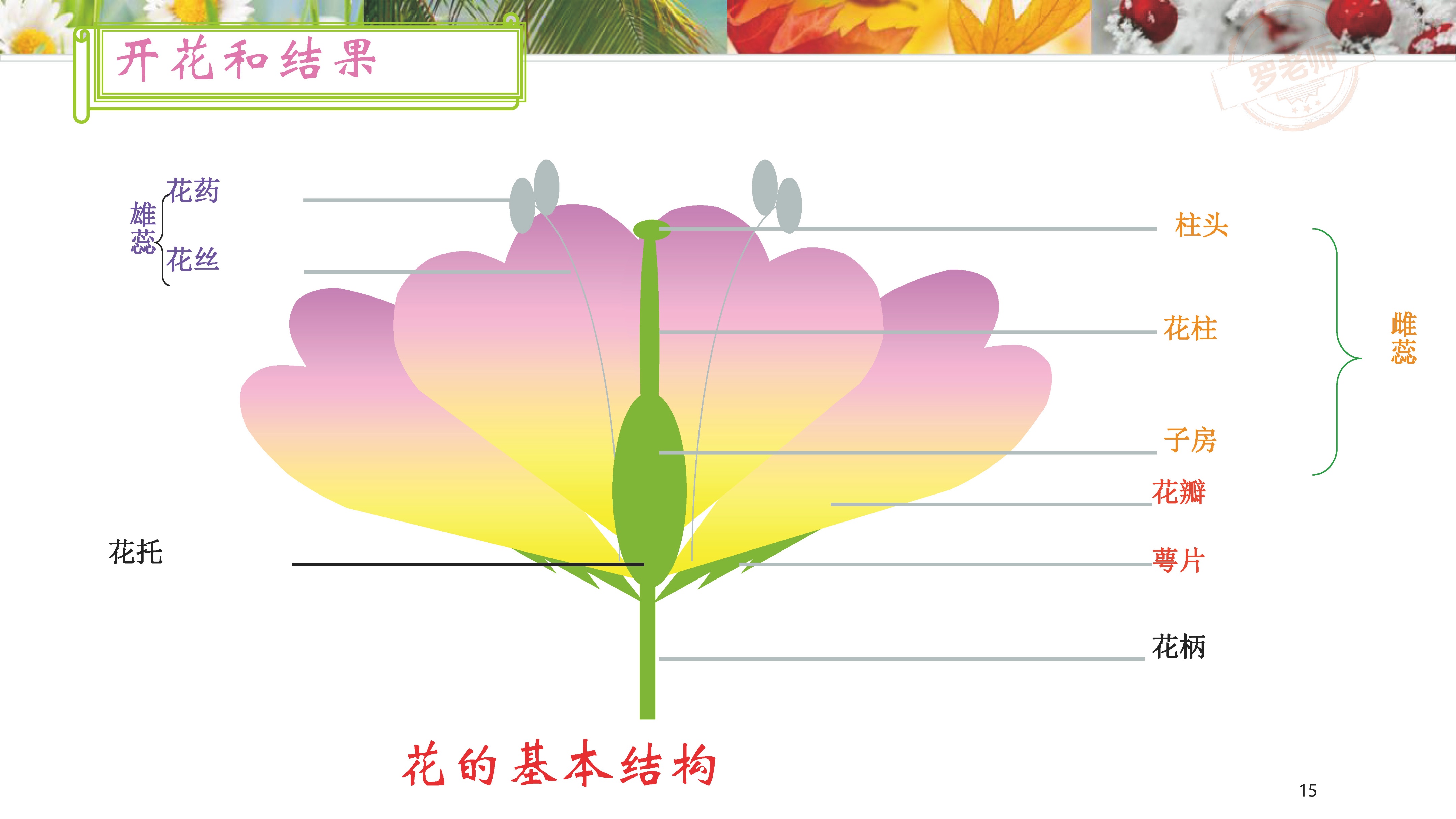 小升初一到六年级复习资料,小升初所有课本