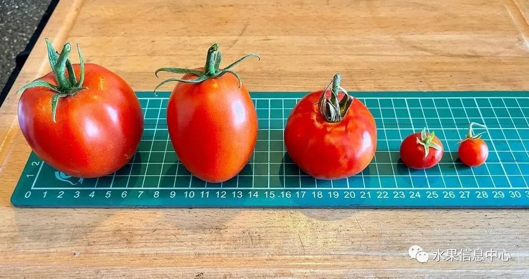 盘点那些迷你的东西,盘点不同样子的水果