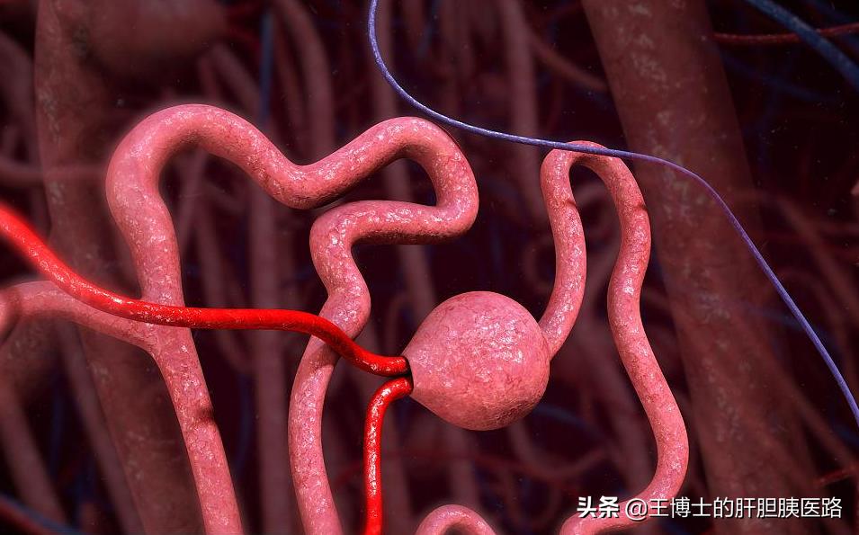 糖尿病肾病新药非奈利酮疗效如何,非奈利酮最新消息