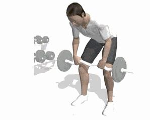 家庭健身房器械如何搭配,健身房器械使用教程女生