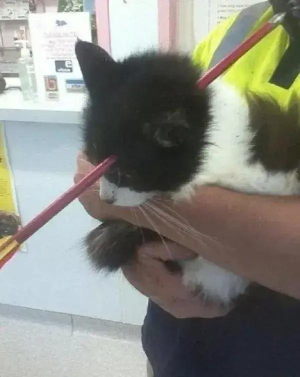 直女到底有多难撩,怎么撩直女到底有多难