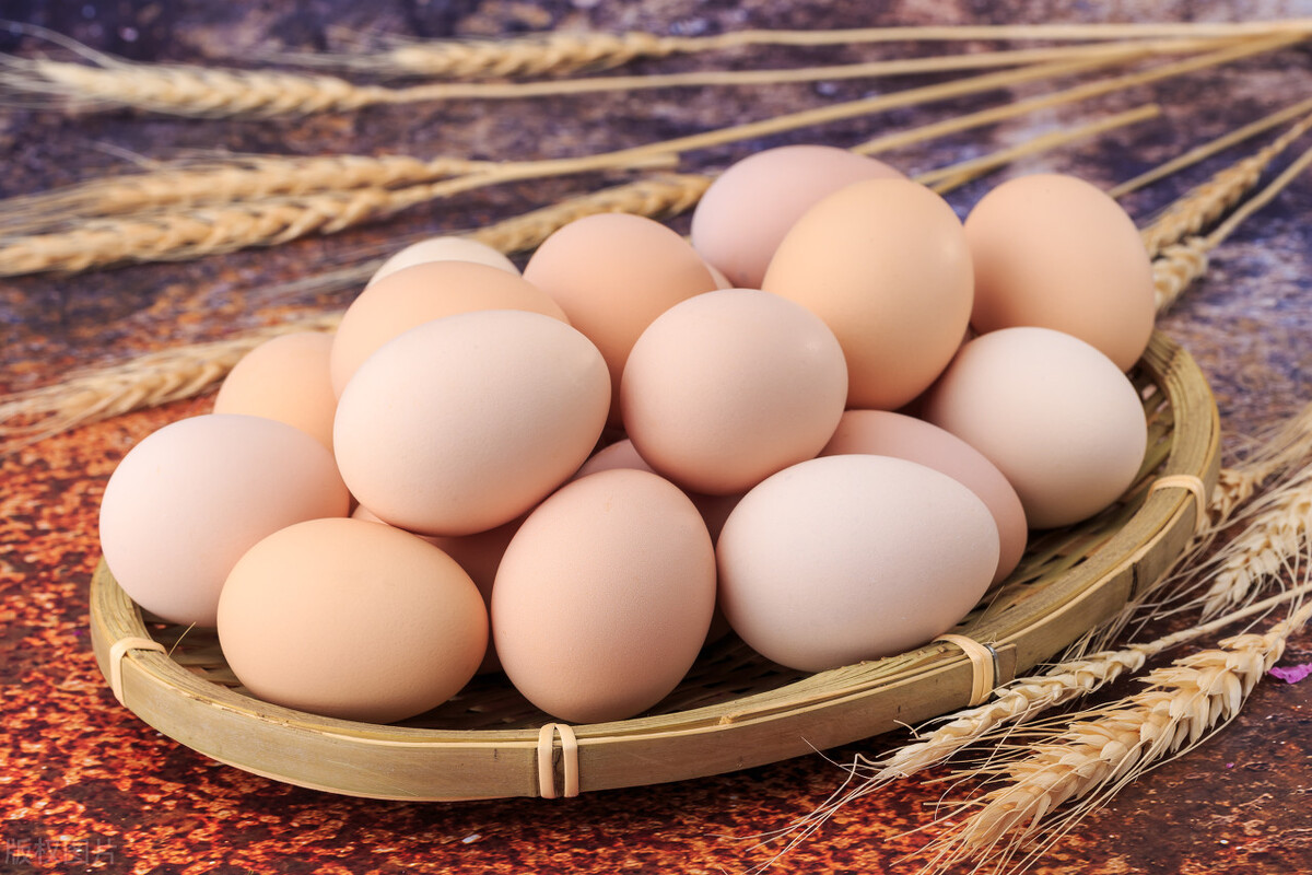 一毛钱的鸡蛋，如何盈利过百万？