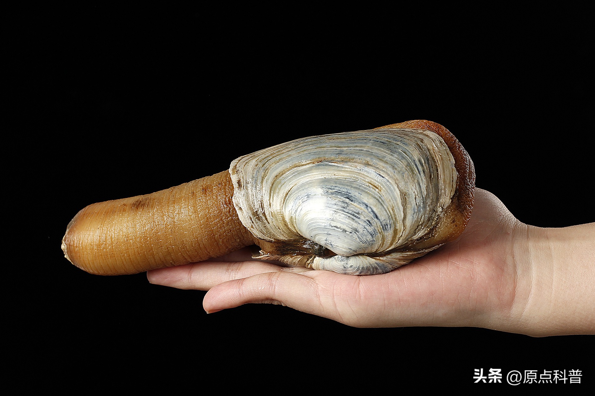 十大不起眼的赚钱行业排行榜最新,小县城利润最高的不起眼行业赚钱