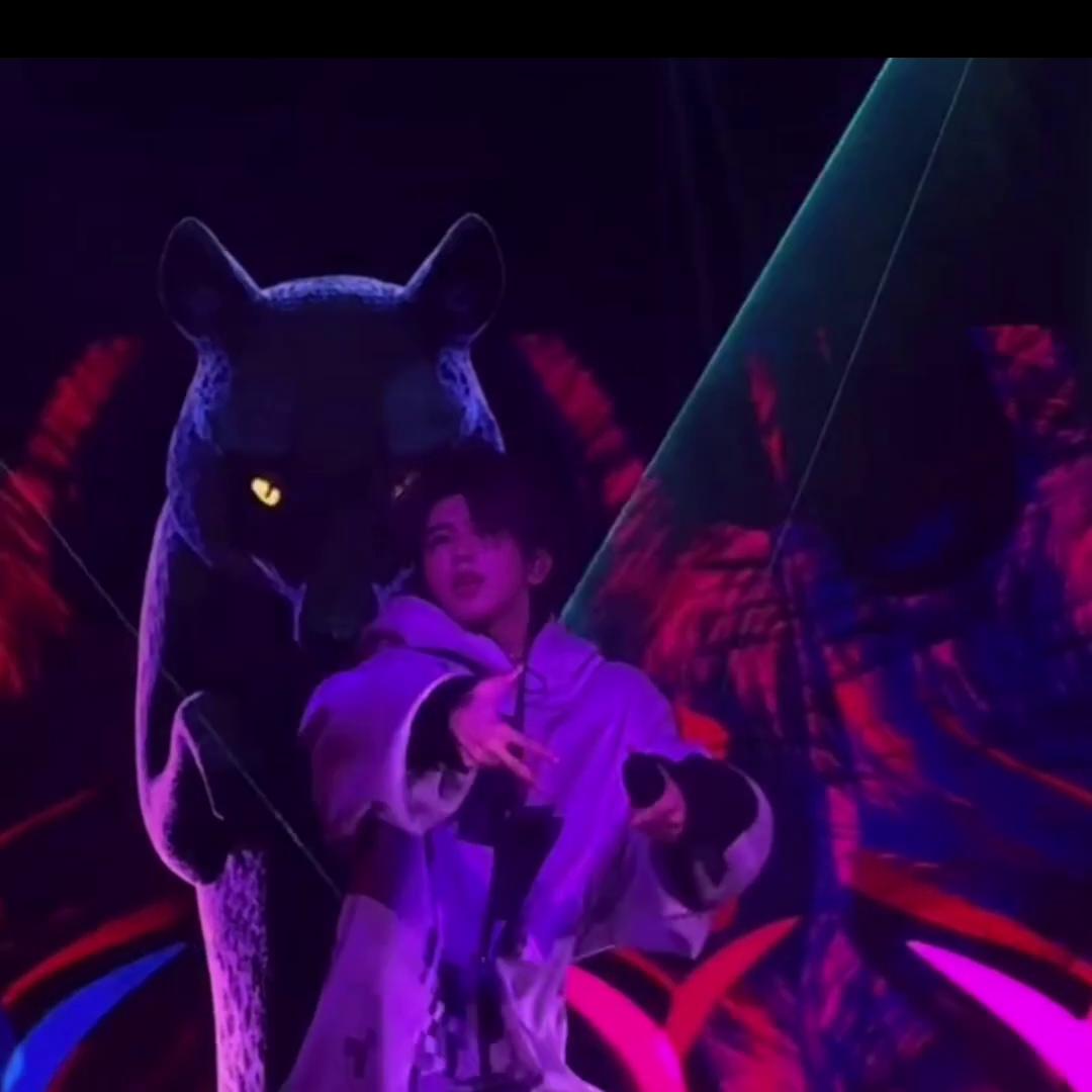 舞吧集体舞,舞吧全部视频