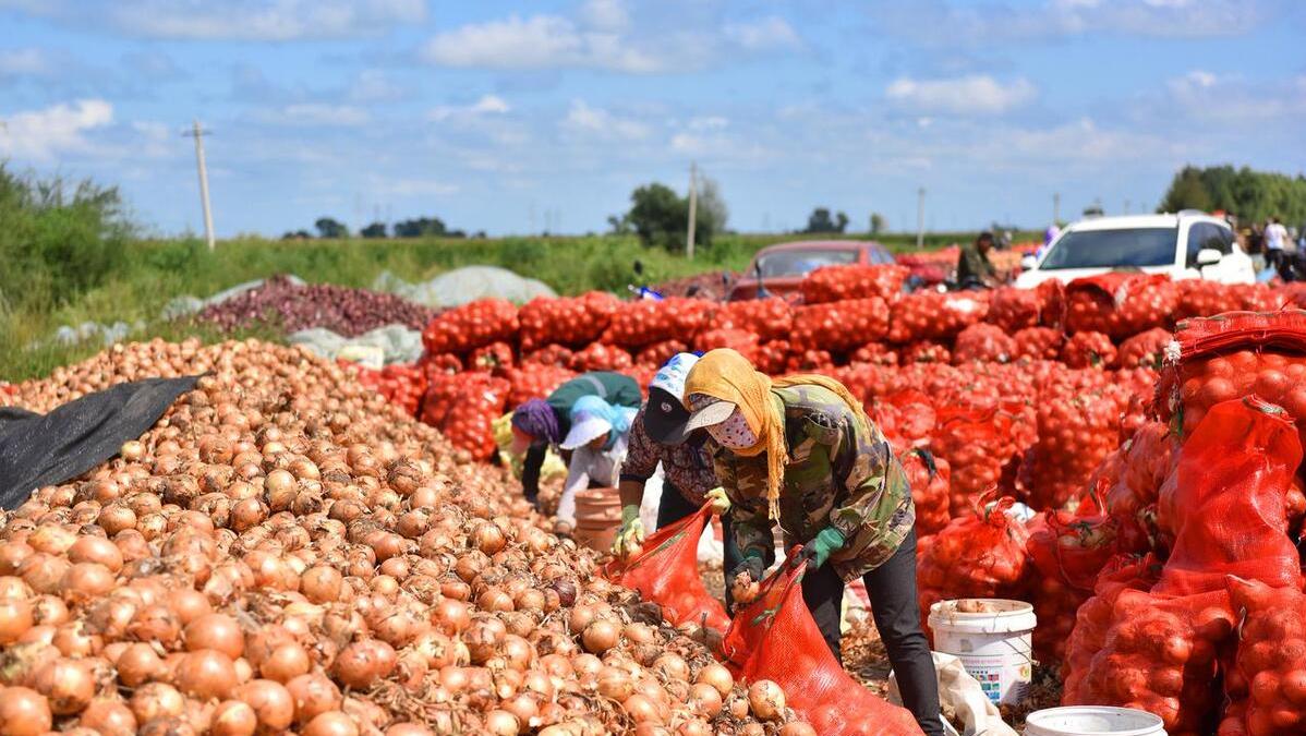订单暴涨700%！美国都跟着受益，背后透露3大行业发展强劲有前景