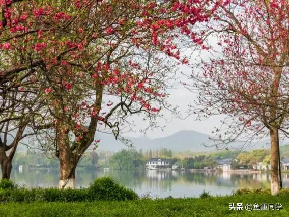 今天三月初七,你知道是什么日子吗?老祖宗的谚语怎么说