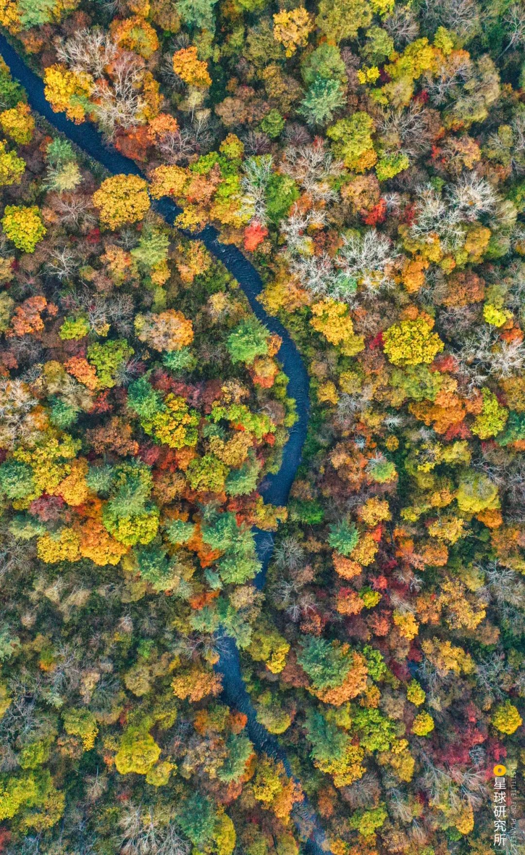 圣山龙脉,龙脉圣地黄帝陵