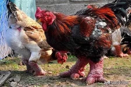 今天的越南现状 (越南真实现状如何)