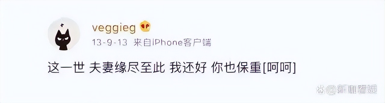 谢霆锋和王菲机场牵手完整版,王菲谢霆锋牵手张柏芝什么感受