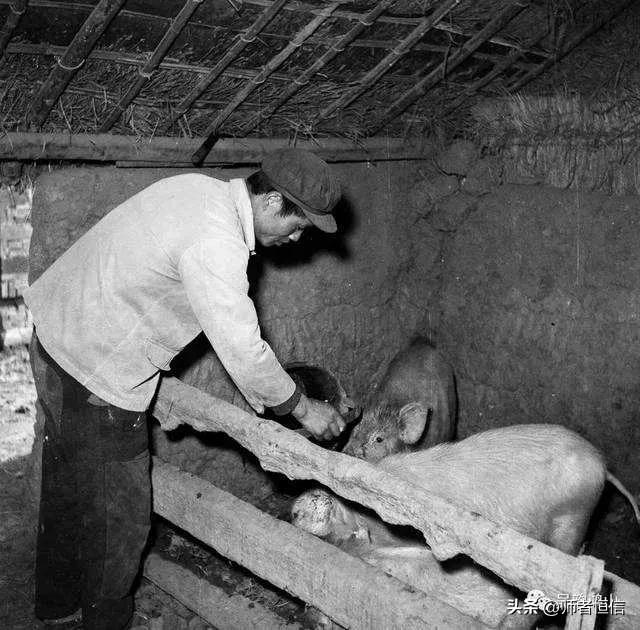 山河锦绣收视率有多高,网民对山河锦绣的评价