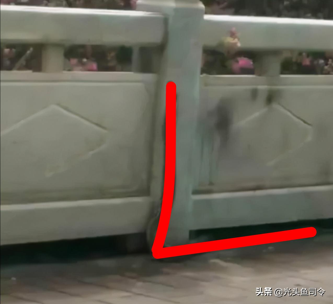 缅甸蟒长大后的天敌除了人有哪些,缅甸蟒喜欢什么样栖息环境