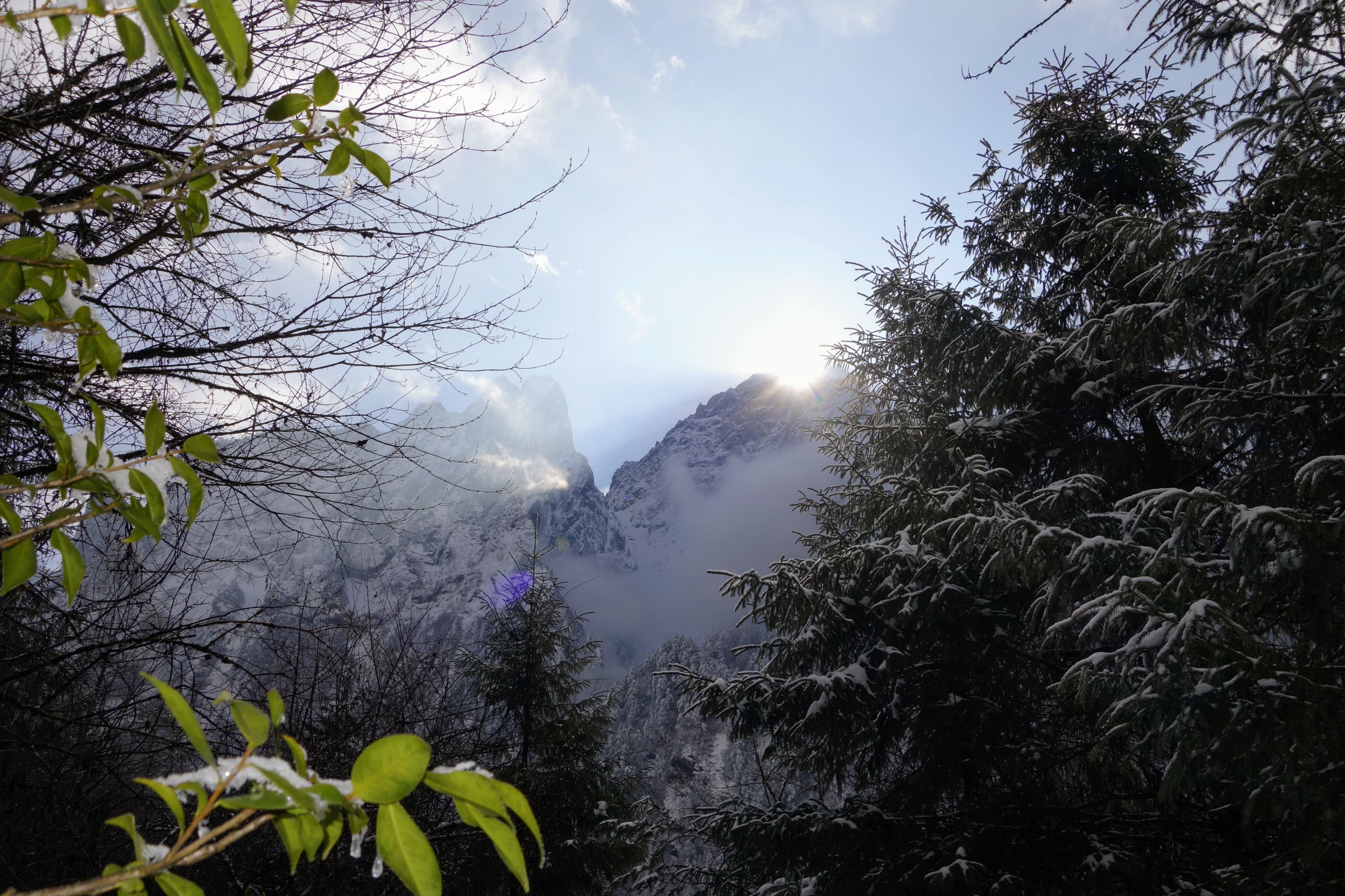川西圣境游玩攻略,甘孜燕子沟攻略