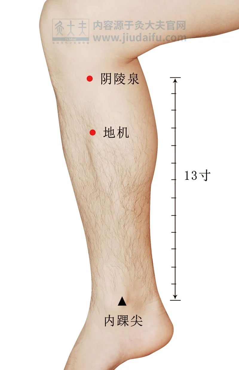 谷雨养生秘诀大全,谷雨前后每日养生小知识