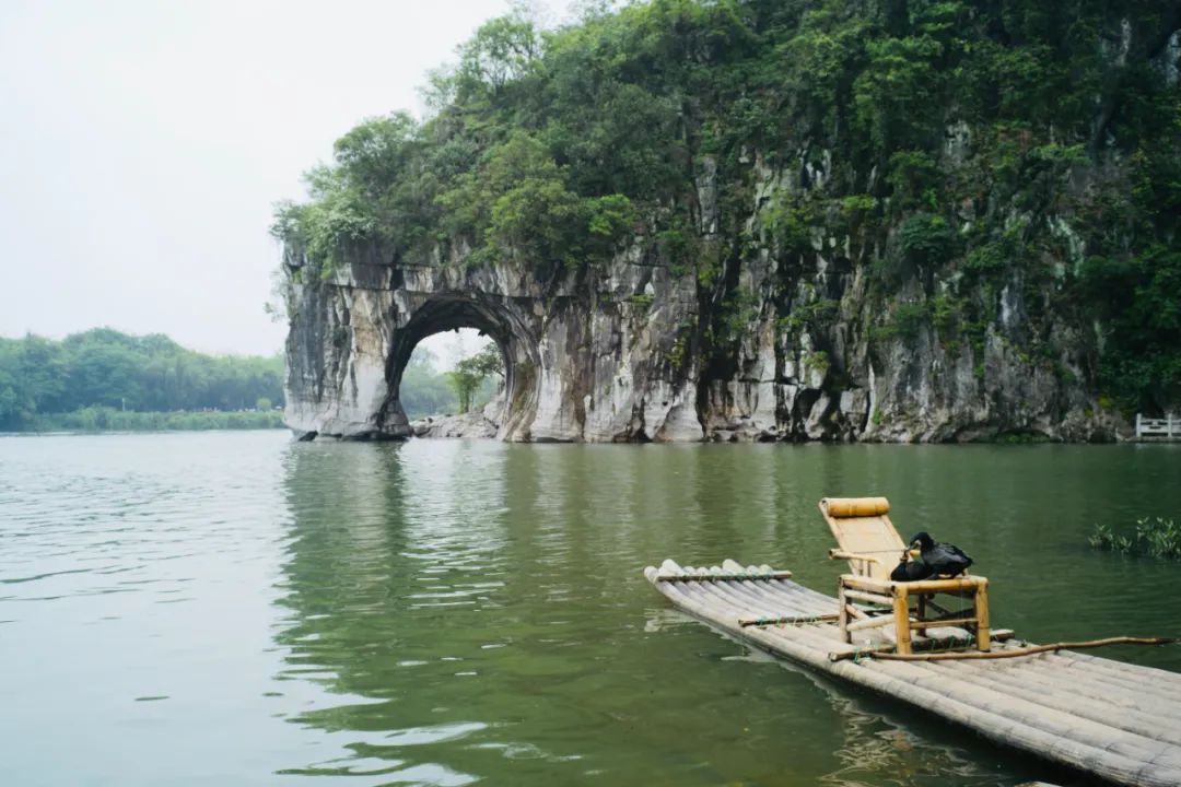 盘点那些过气网红的现状,2020年已经过气的网红