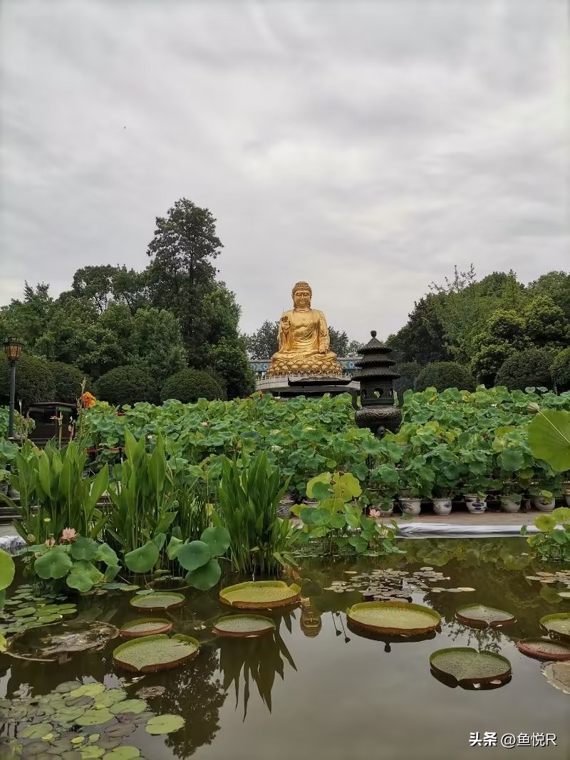大暑到哪儿玩,大暑天气出来旅游
