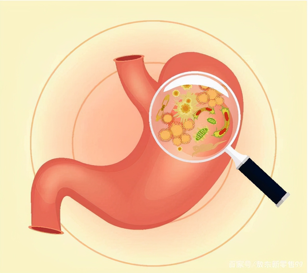 肠道消化不良最快解决方法,经常消化不良会导致肠道有问题吗