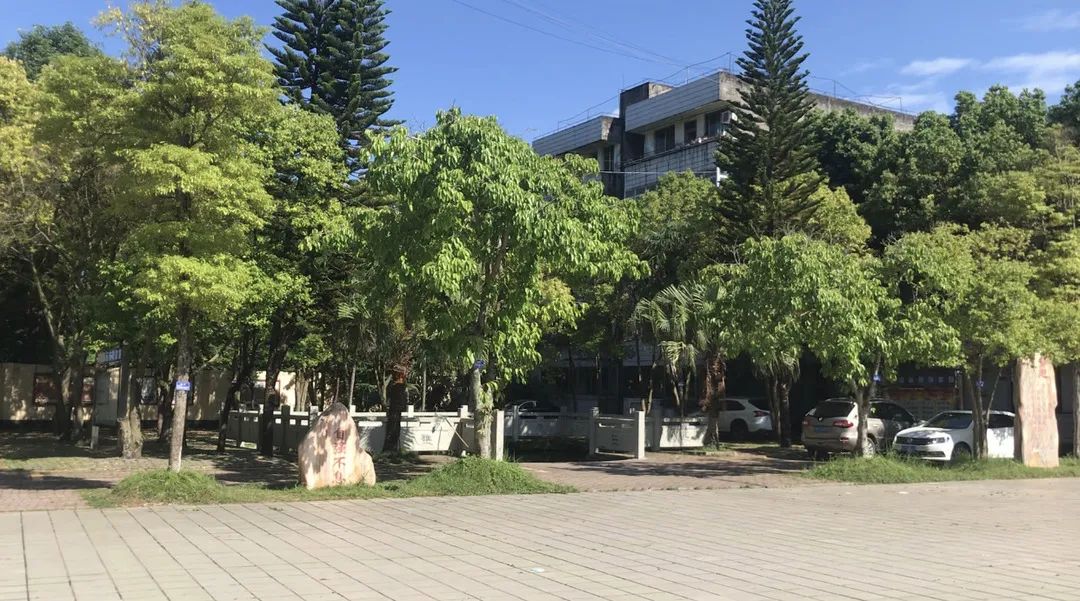 我记忆中的母校真的很美好吗,我回忆在学校读书的时候