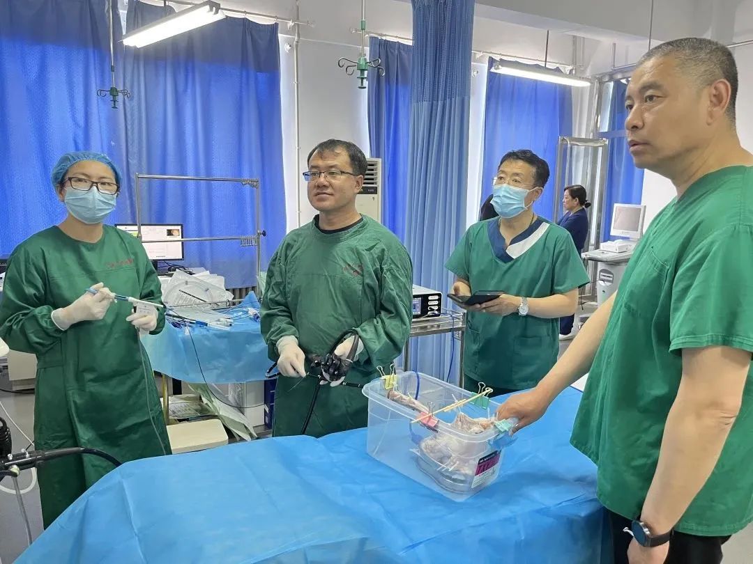 朗豪专家培训班,朗豪专家培训学校第六期精彩来袭