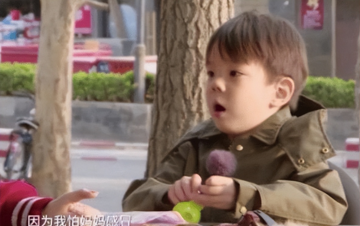 霍思燕豪门捞金,霍思燕富婆