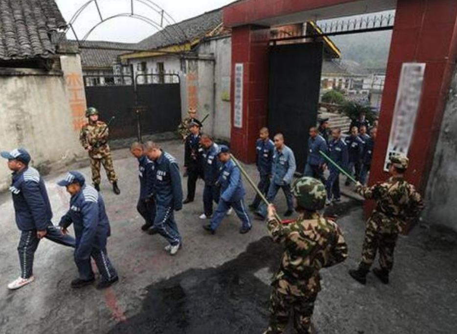 悍匪周二全落网记,悍匪周二全覆灭记