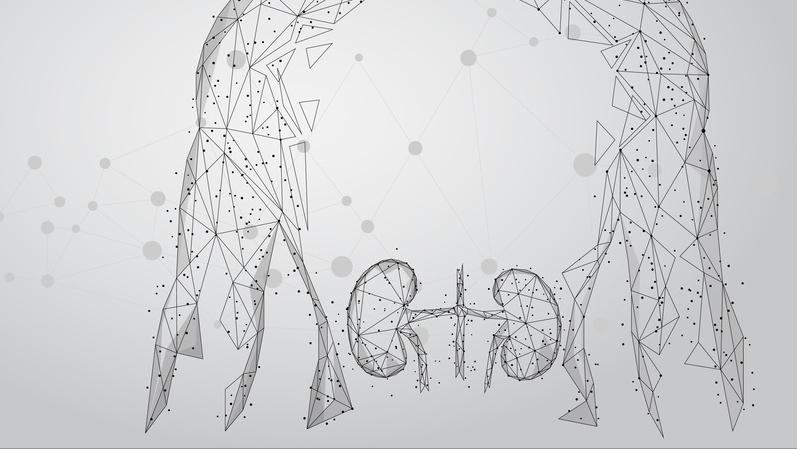 壮阳食物能壮阳吗?这4个“壮阳*法大**”都是忽悠人的,别再被骗了