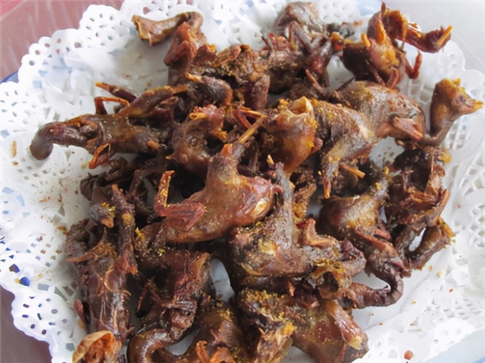 有何深仇大恨？非洲3头大象遭20万只“麻雀”*攻围**，慌忙逃窜50米