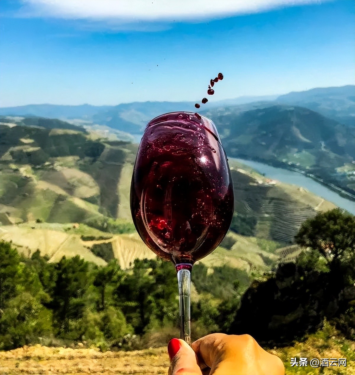 西班牙葡萄酒产区大全,西班牙十大葡萄酒品牌大全