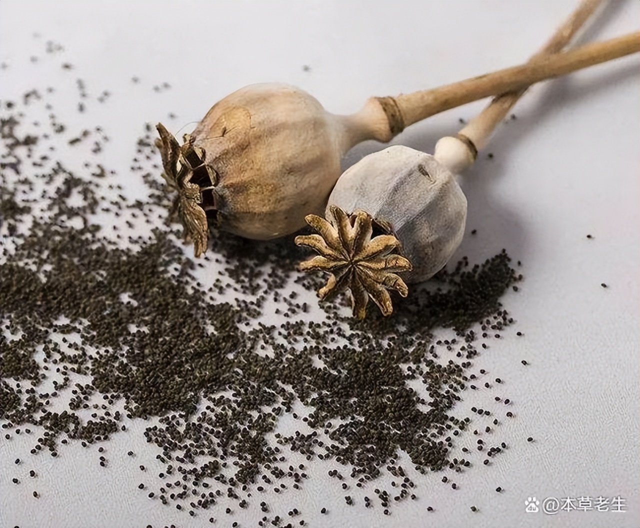 中药材近年来出口整体表现,中药材进出口现状