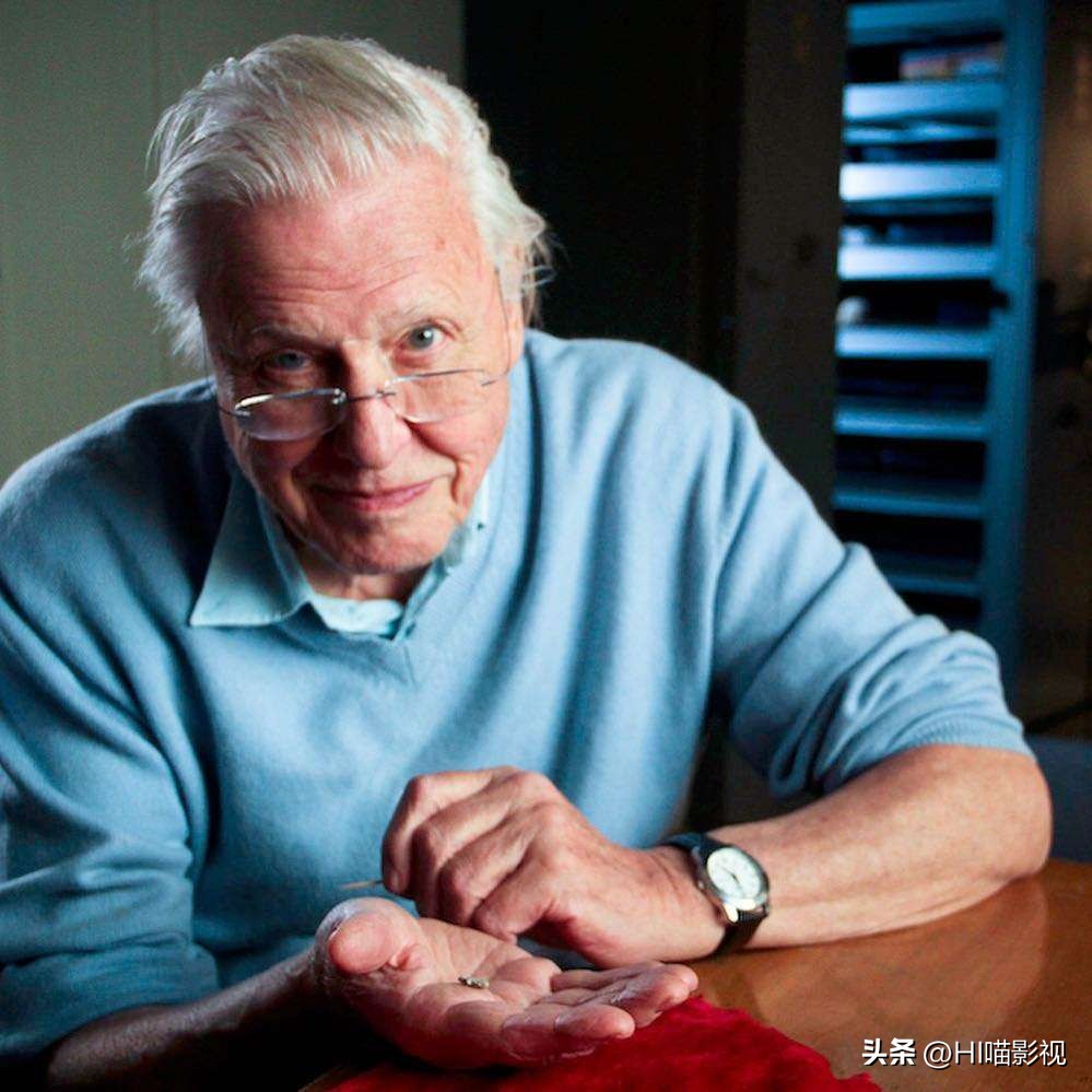 提高认知增长知识的高分纪录片,孩子必看的5部纪录片