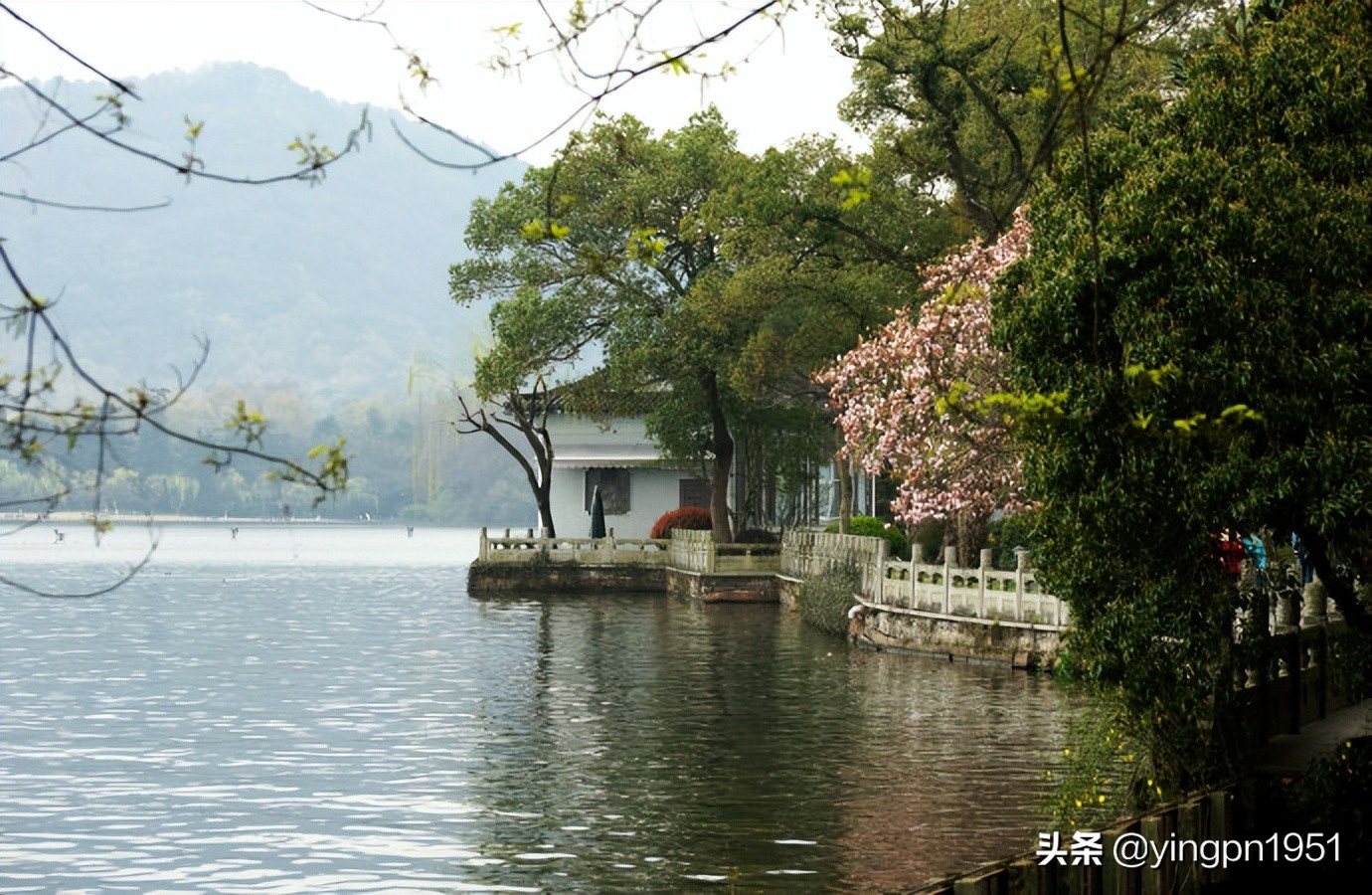 杭州西湖国宾馆房价一览表,杭州西湖国宾馆