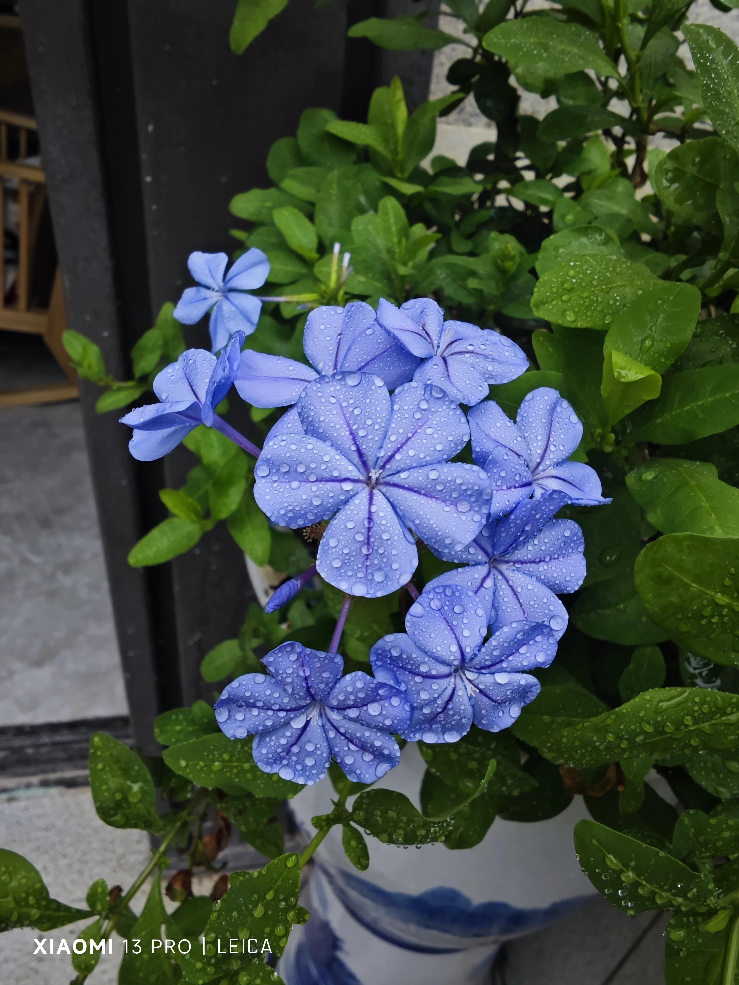 夏天的多巴胺是什么,夏天的多巴胺穿搭是什么