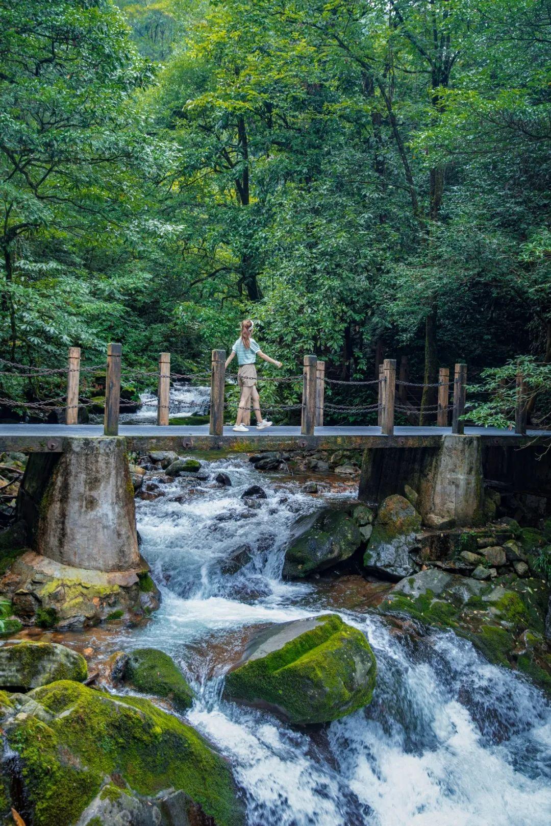 洪雅一个生你养你的地方,洪雅一个养你的地方