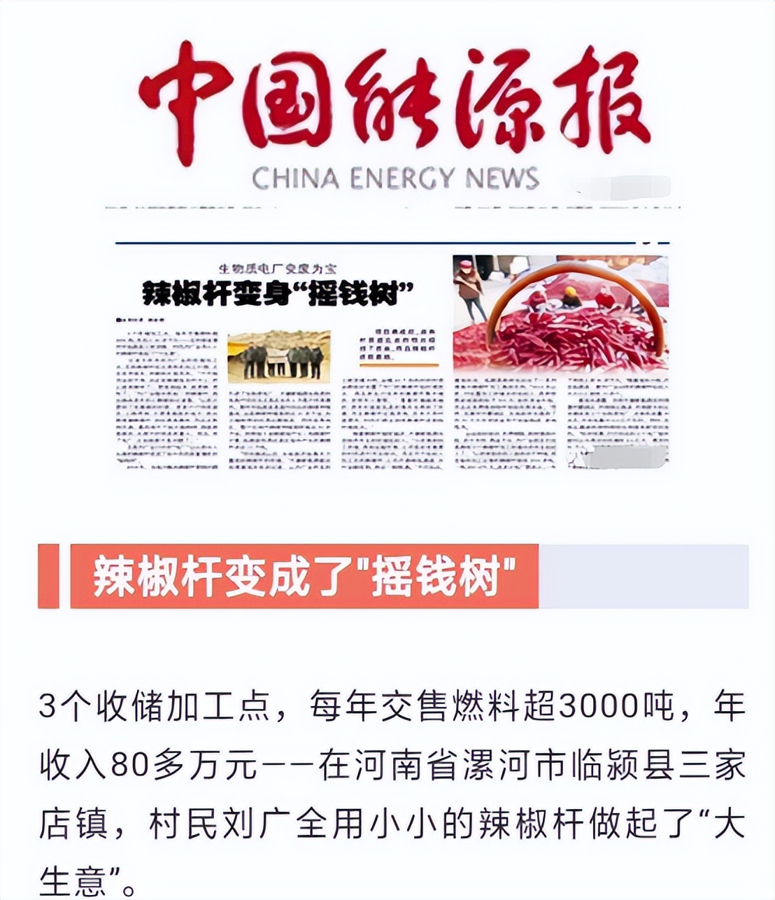 2023年禁止农村养猪狗鸡？官方发文，透露藏在农村的3大暴利行业