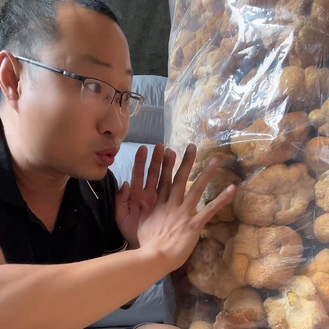 猴头菇粉和猴头菇片哪个效果更好,猴头菇打粉前需要清洗吗