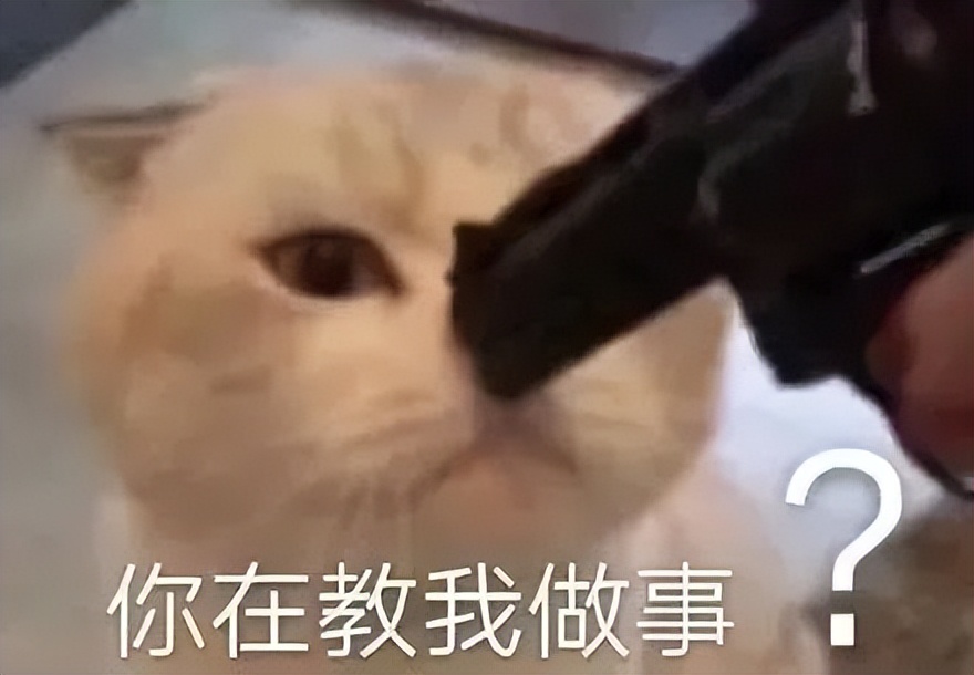 如何用chatgpt赚取300万,ai研究院chatgpt运营秘诀与变现攻略