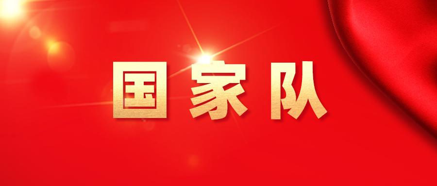 股票里面的国家队主要有哪些,股票国家队是哪几个账户