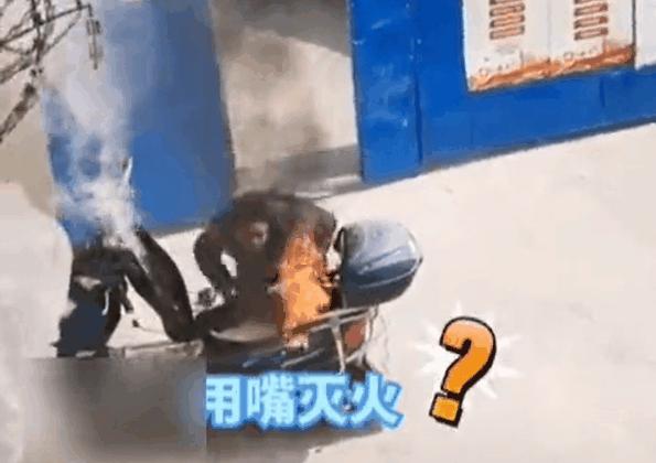 急！还有人不会用！记住“提拔我呀”