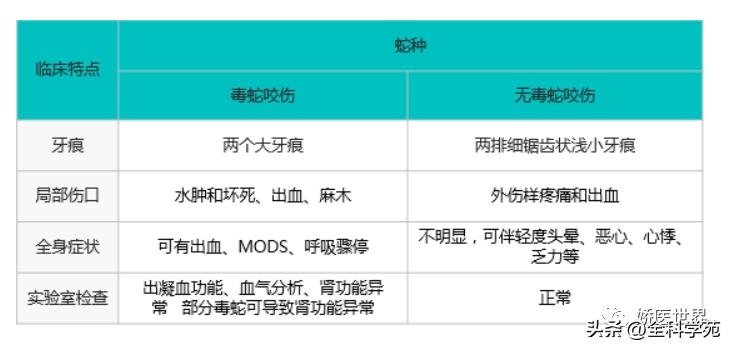 烧伤烫伤防护与急救知识英文,烧伤冻伤如何处理
