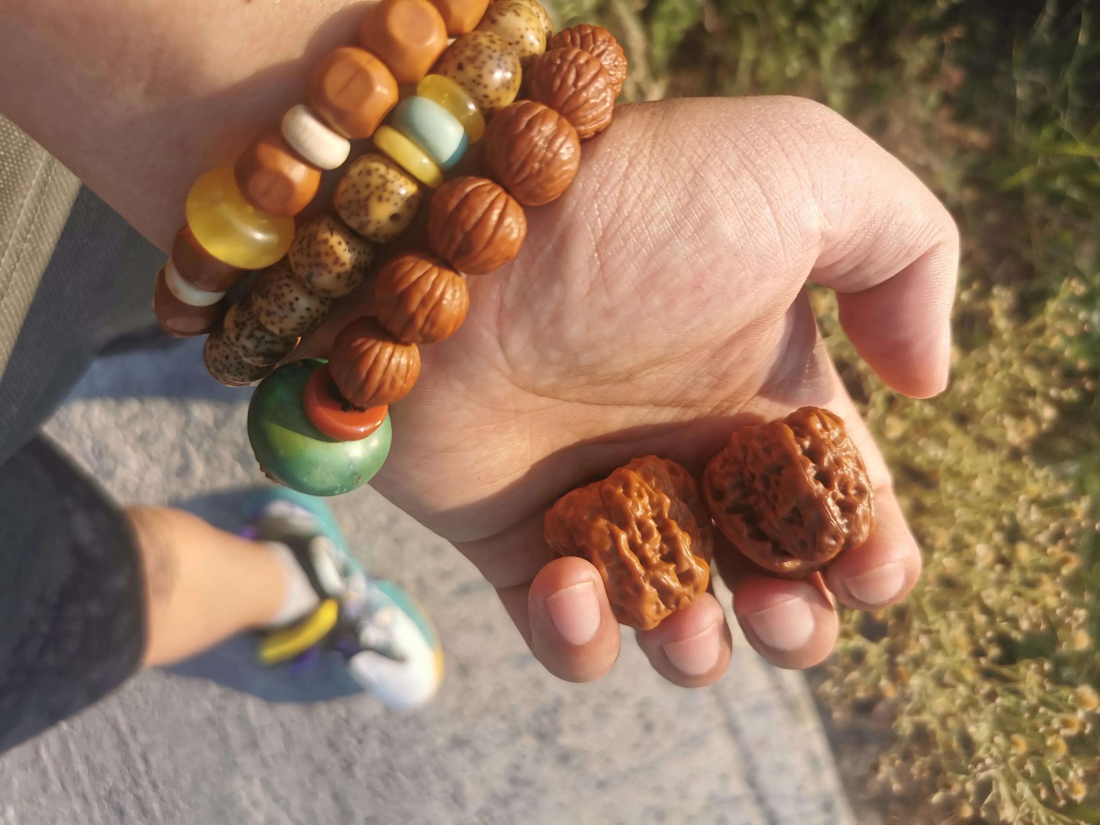 大龙文玩,大龙文玩核桃